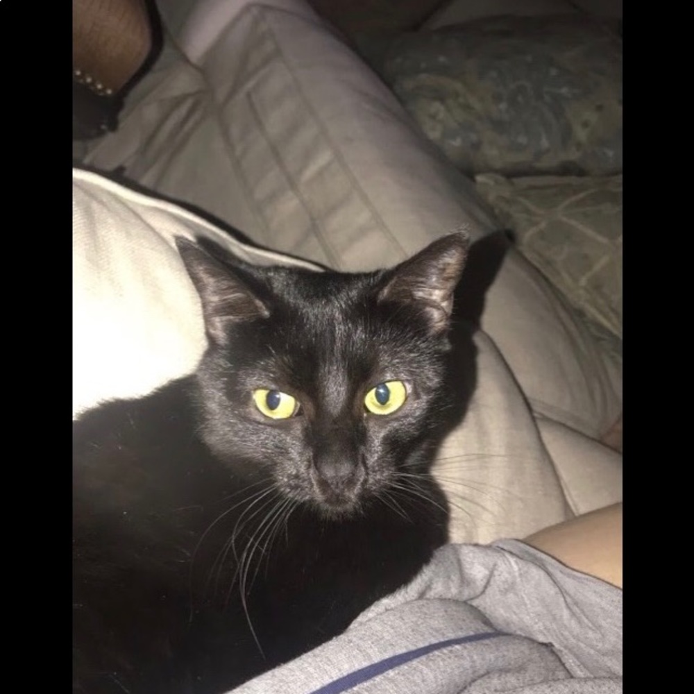 Meet your Posher, Jodi